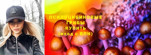 apvp Балахна