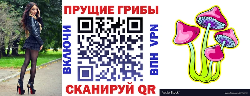 наркотики  Шатура  Галлюциногенные грибы прущие грибы 